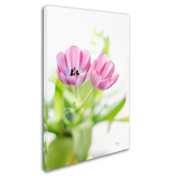 Lois Bryan 'Pink Tulips Drenched In Light' Canvas Art,22x32